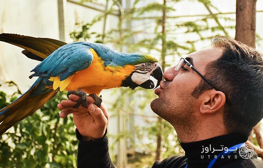 The Biggest Bird Garden In Iran